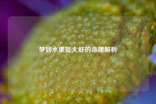 梦到水里捉大虾的命理解析