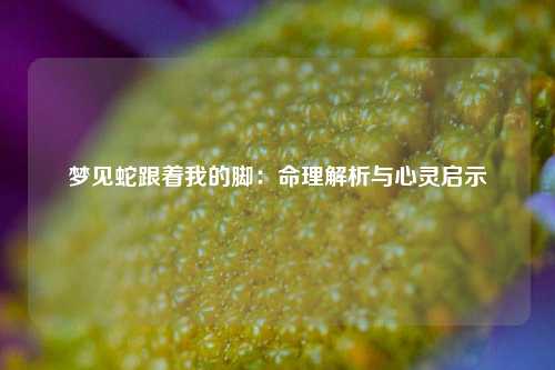 梦见蛇跟着我的脚：命理解析与心灵启示