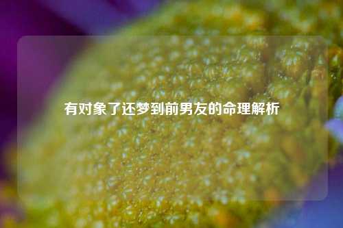 有对象了还梦到前男友的命理解析