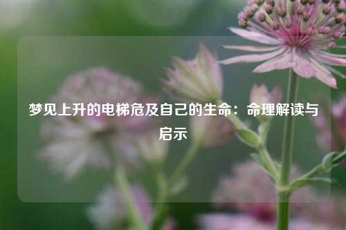 梦见上升的电梯危及自己的生命:命理解读与启示
