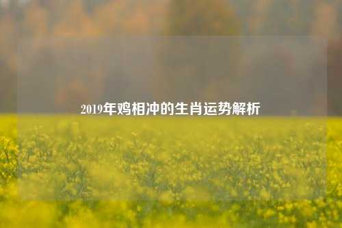 2019年鸡相冲的生肖运势解析
