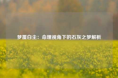 梦覆白尘：命理视角下的石灰之梦解析