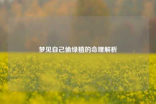 梦见自己偷绿植的命理解析